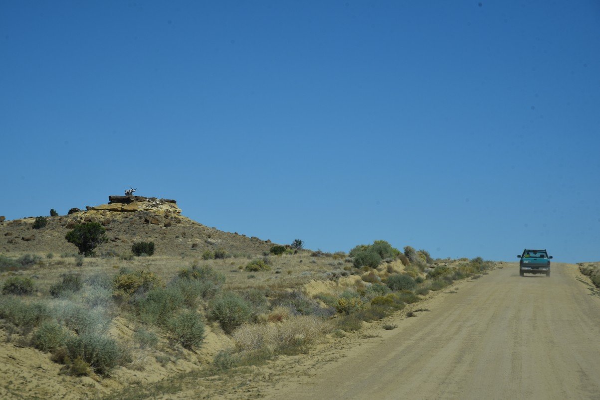 dsc_0167_fs.jpg