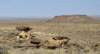 dsc_0174_fs_small.jpg
