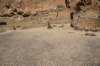 dsc_0218_fs_small.jpg