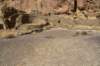 dsc_0223_fs_small.jpg