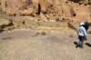dsc_0224_fs_small.jpg