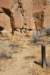 dsc_0241_fs_small.jpg