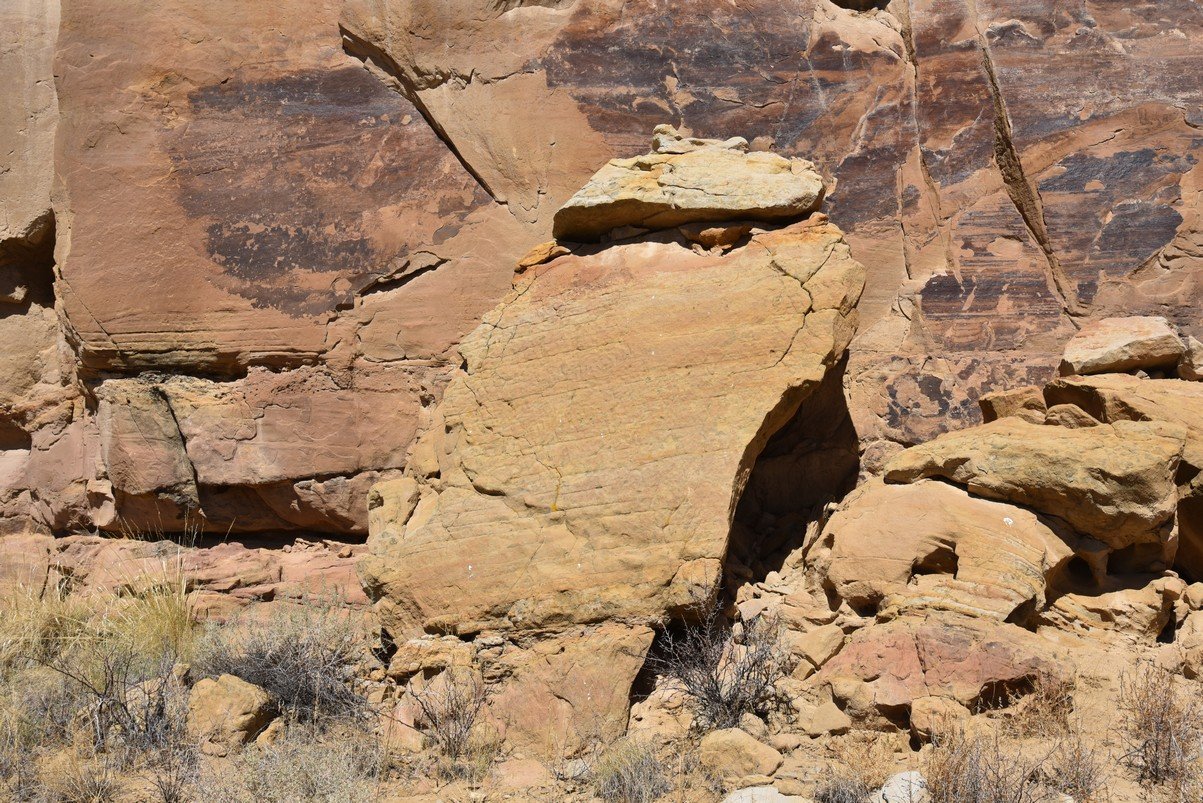 dsc_0242_fs.jpg