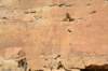 dsc_0246_fs_small.jpg