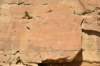 dsc_0247_fs_small.jpg