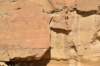 dsc_0248_fs_small.jpg