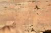 dsc_0251_fs_small.jpg