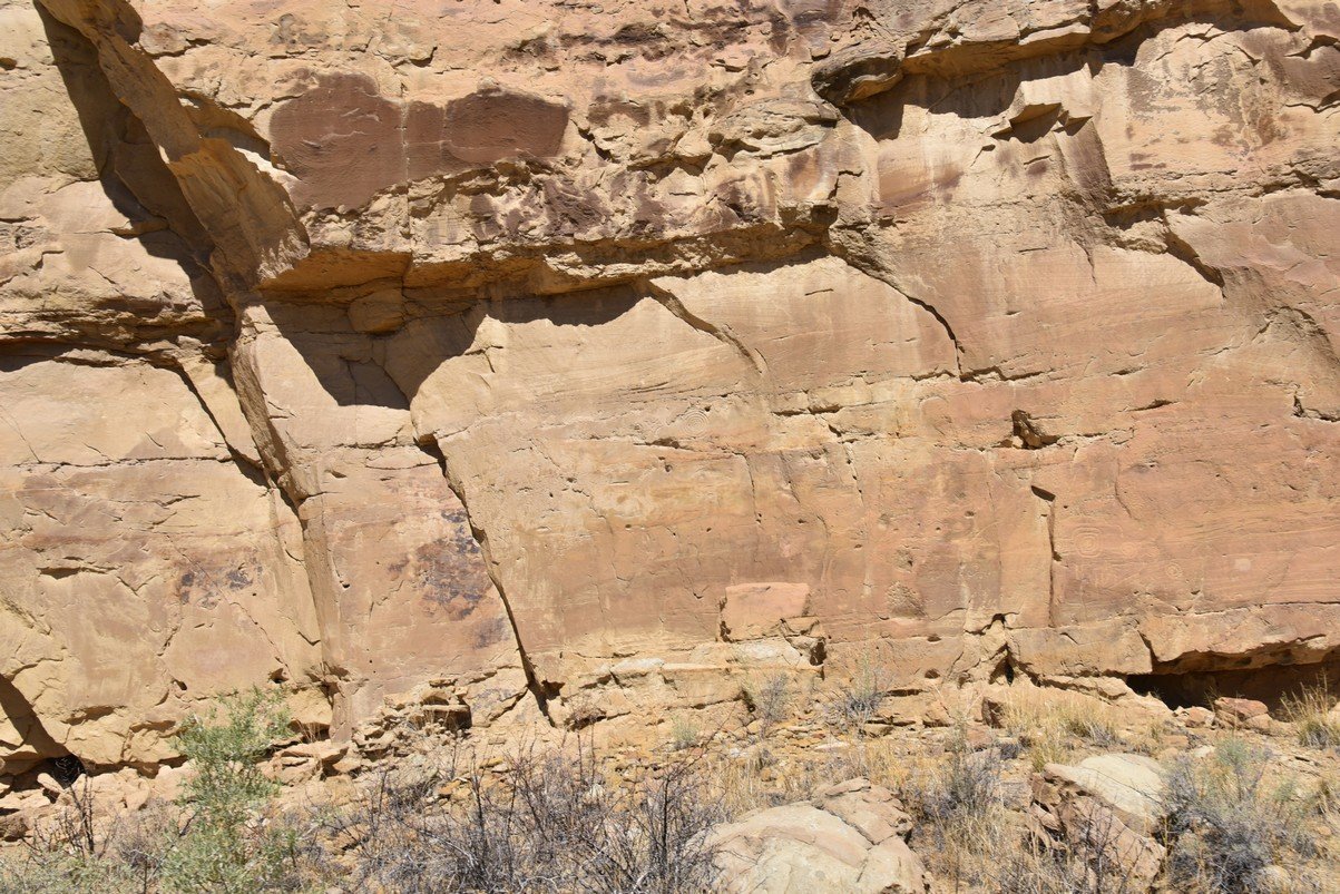 dsc_0253_fs.jpg