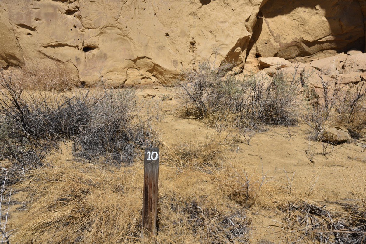 dsc_0256_fs.jpg