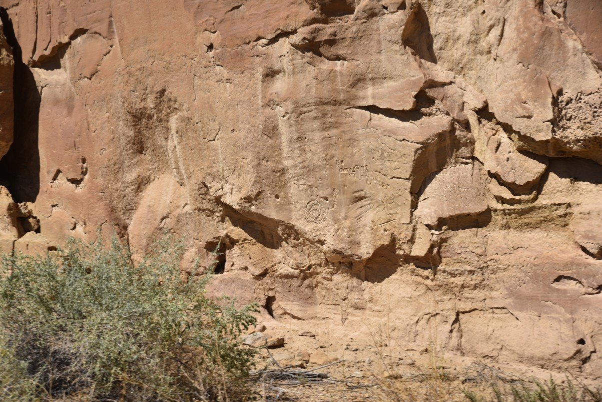 dsc_0263_fs.jpg