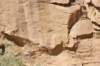 dsc_0264_fs_small.jpg
