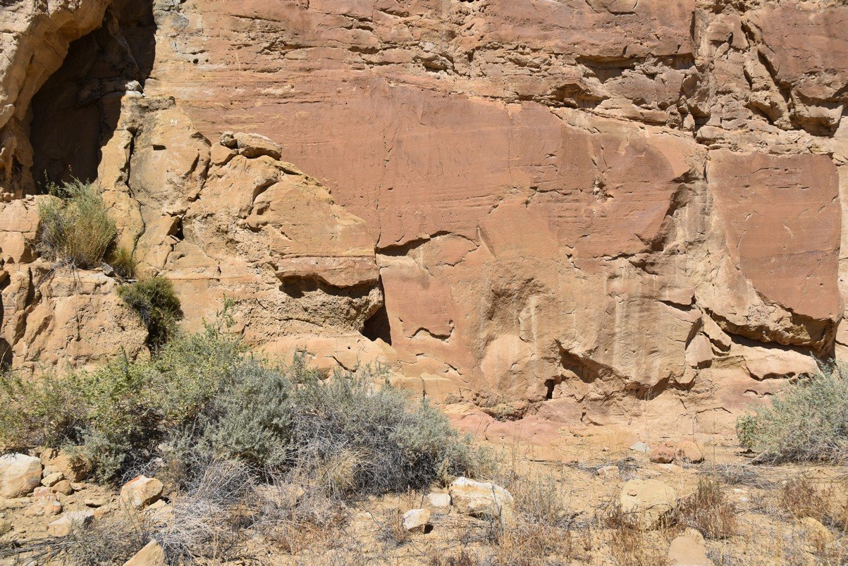 dsc_0267_fs.jpg