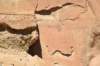 dsc_0268_fs_small.jpg