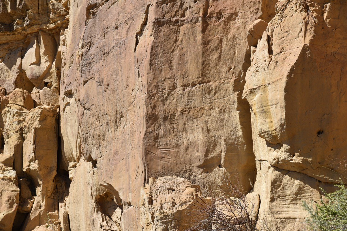dsc_0274_fs.jpg