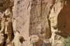 dsc_0274_fs_small.jpg