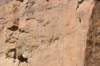 dsc_0276_fs_small.jpg