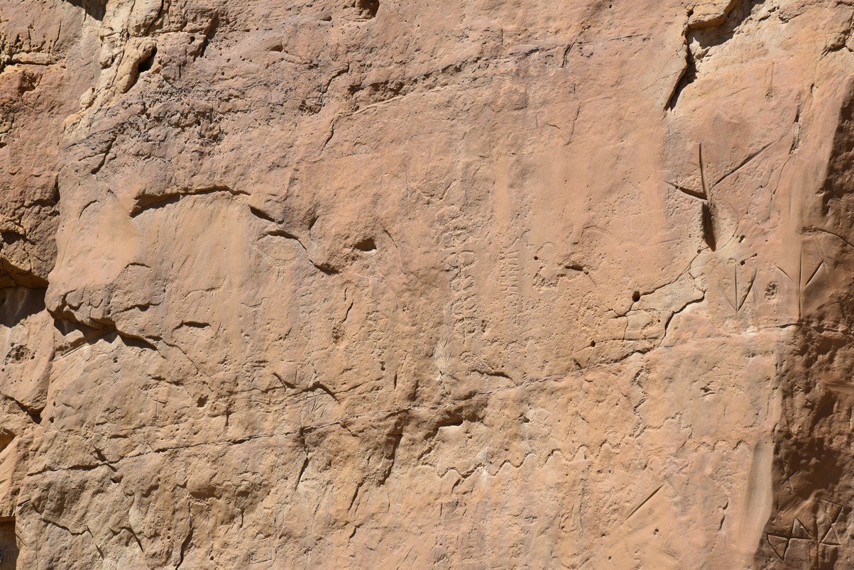 dsc_0278_fs.jpg