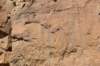 dsc_0282_fs_small.jpg