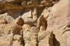 dsc_0285_fs_small.jpg