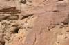 dsc_0289_fs_small.jpg