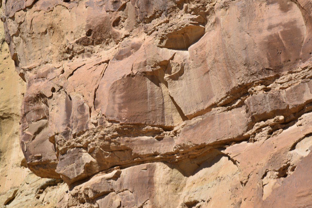 dsc_0290_fs.jpg