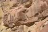 dsc_0290_fs_small.jpg