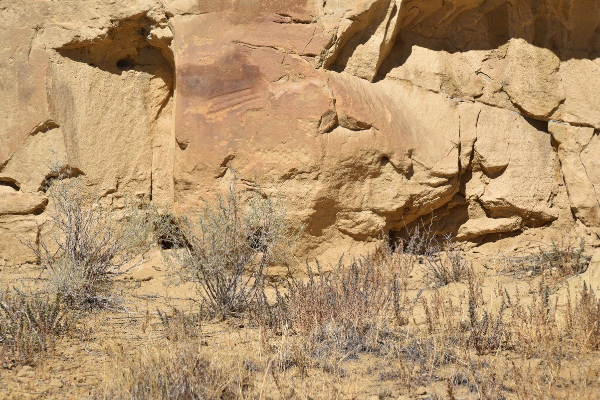 dsc_0294_fs.jpg