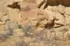 dsc_0294_fs_small.jpg