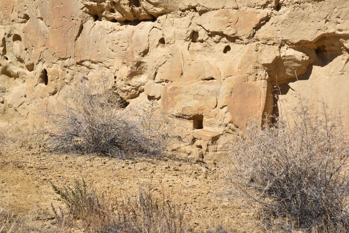 dsc_0295_fs.jpg