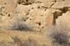 dsc_0295_fs_small.jpg