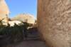 dsc_0312_fs_small.jpg