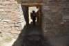 dsc_0360_fs_small.jpg