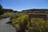 dsc_0377_fs_small.jpg
