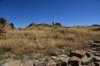 dsc_0381_fs_small.jpg