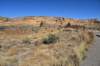 dsc_0384_fs_small.jpg