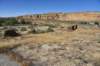 dsc_0394_fs_small.jpg