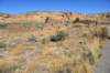 dsc_0397_fs_small.jpg