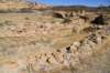 dsc_0437_fs_small.jpg