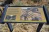 dsc_0449_fs_small.jpg