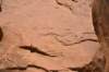dsc_0477_fs_small.jpg
