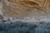 dsc_0494_fs_small.jpg