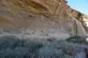 dsc_0495_fs_small.jpg