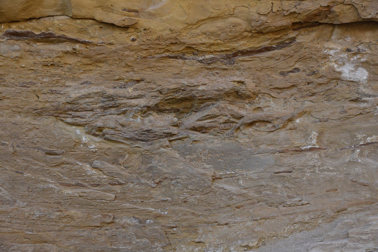 dsc_0496_fs.jpg