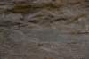 dsc_0497_fs_small.jpg