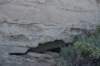dsc_0498_fs_small.jpg