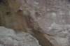 dsc_0502_fs_small.jpg