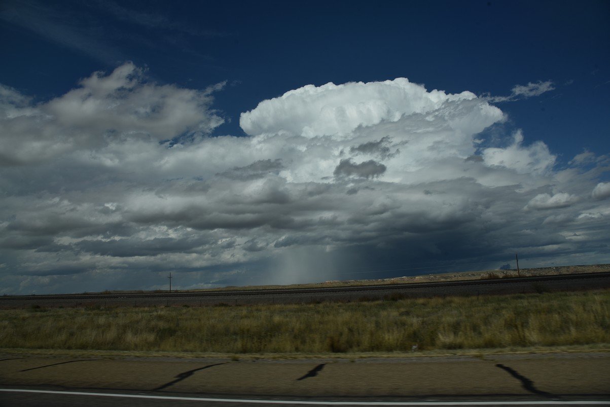 dsc_0557_fs.jpg