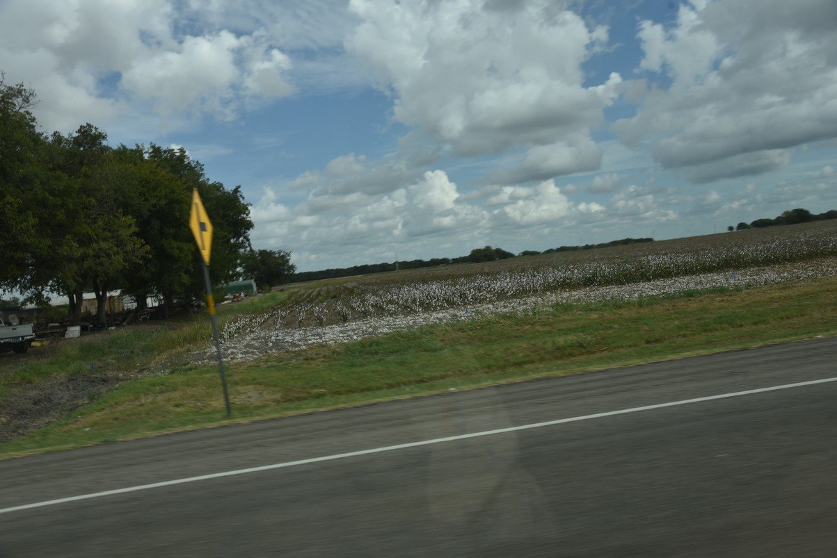 dsc_0620_fs.jpg