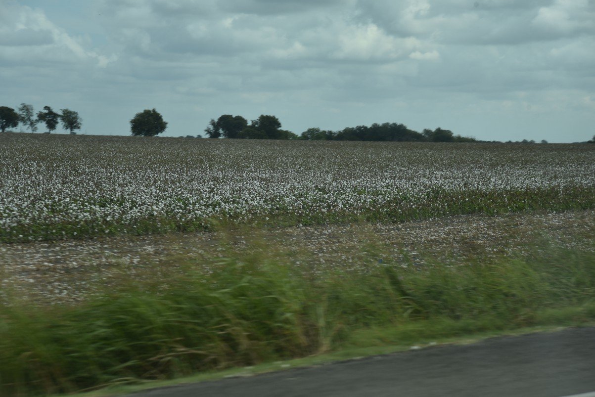 dsc_0624_fs.jpg