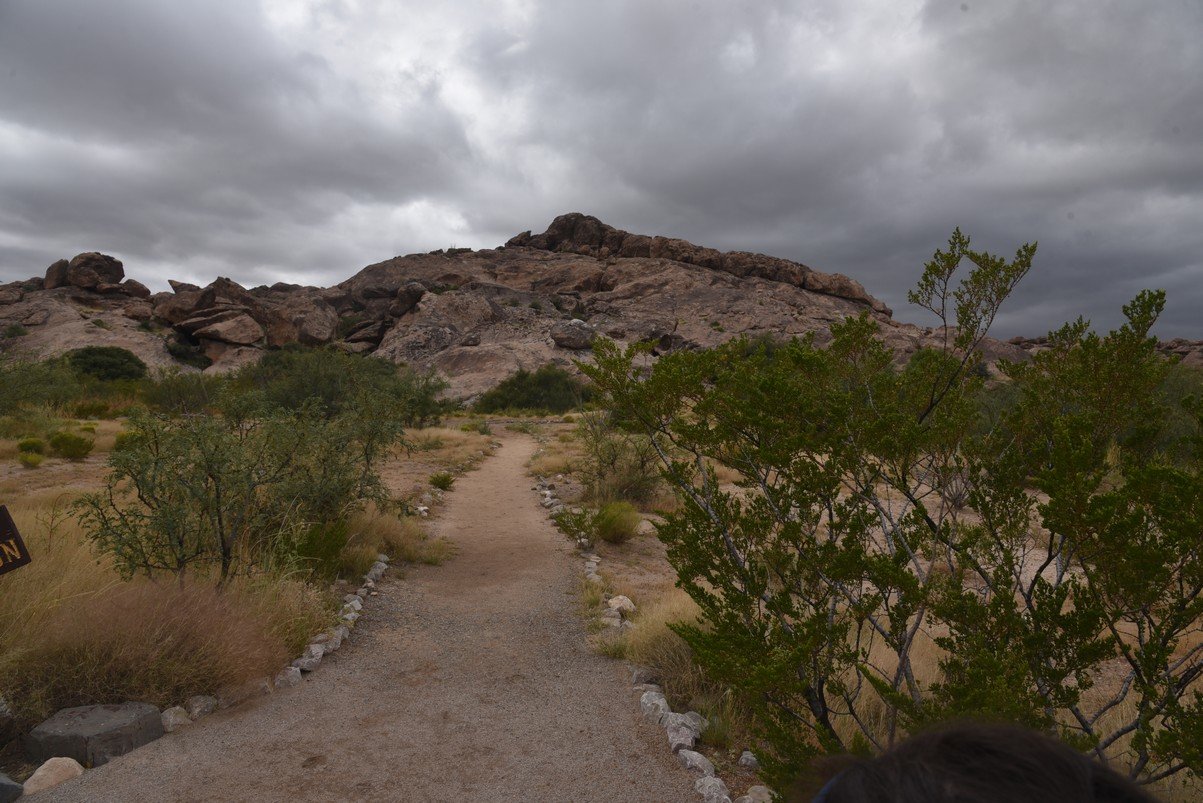 dsc_0703site17.jpg